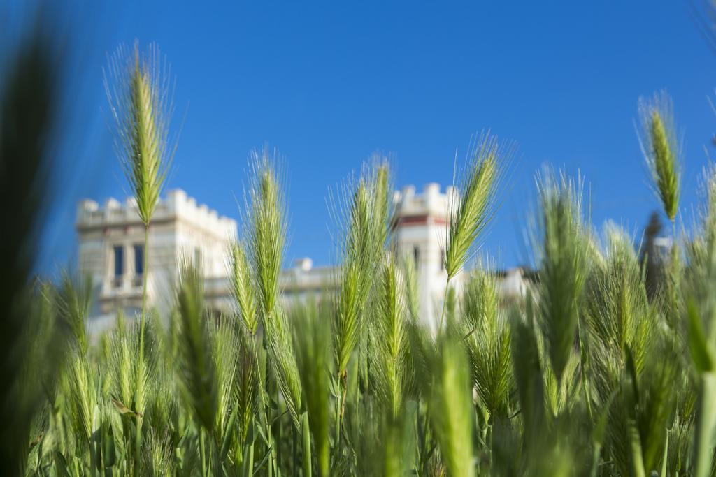 Villa Raffaella Santa Cesarea Terme Exterior photo